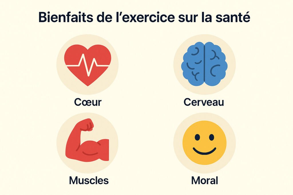 infographie-des-benefices-sante-de-lexercice-coeur-cerveau-muscles-moral-1024x683 8 Entraînements et Exercices Puissants pour Optimiser Votre Fitness